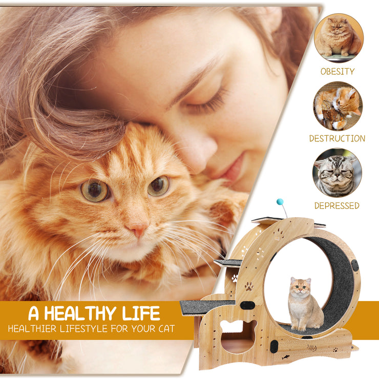 Cat Wheel 4-in-1 Cat Exercise Wheel,Upgraded Cat Wheel Exerciser for Indoor Cats,Large Cat Treadmill,Cat Running Wheel with Silent Wheel,Cat Walking Wheel Cat Furniture Cat Toys Hallohomie