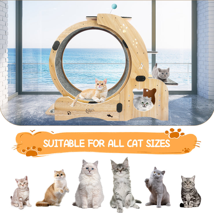 Cat Wheel 4-in-1 Cat Exercise Wheel,Upgraded Cat Wheel Exerciser for Indoor Cats,Large Cat Treadmill,Cat Running Wheel with Silent Wheel,Cat Walking Wheel Cat Furniture Cat Toys Hallohomie