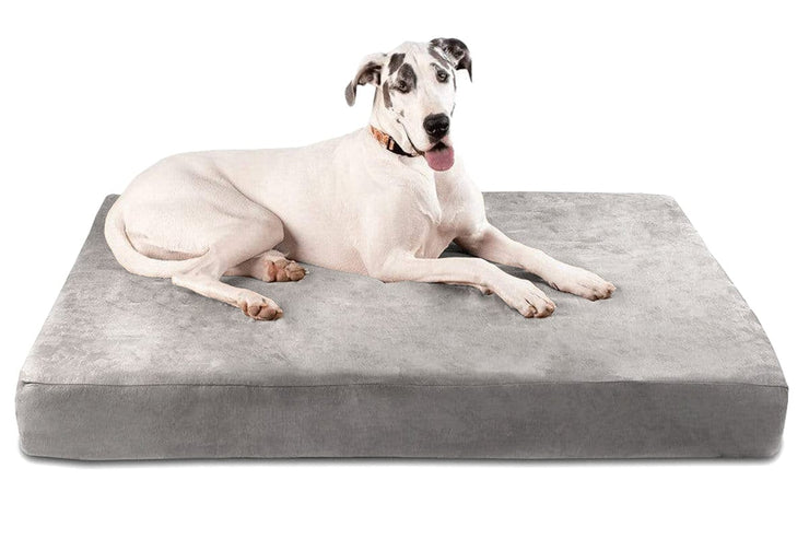 Big Barker Orthopedic Dog Bed