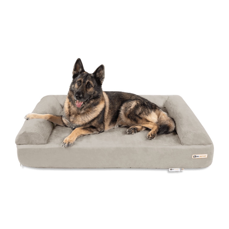 Big Barker Orthopedic Dog Bed