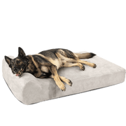 Big Barker Orthopedic Dog Bed