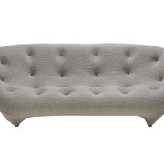 Cowry Sofa Hallohomie