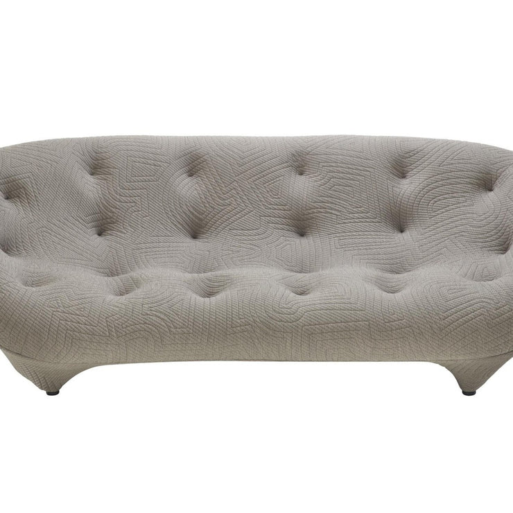 Cowry Sofa Hallohomie