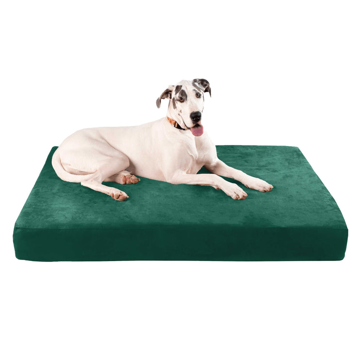 Big Barker Orthopedic Dog Bed