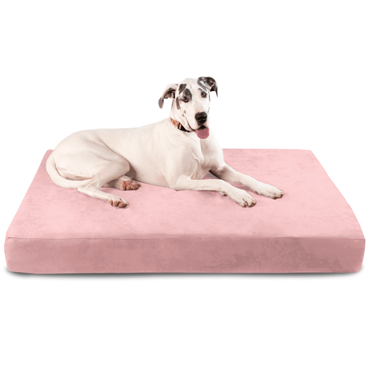 Big Barker Orthopedic Dog Bed