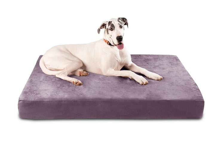 Big Barker Orthopedic Dog Bed