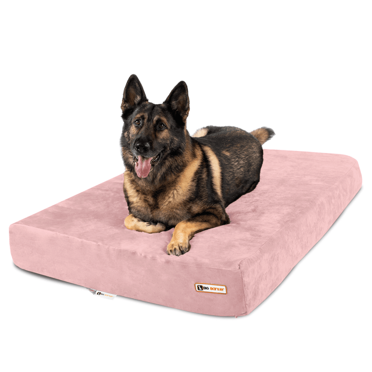 Big Barker Orthopedic Dog Bed
