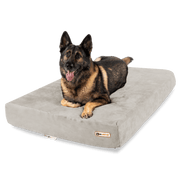 Big Barker Orthopedic Dog Bed