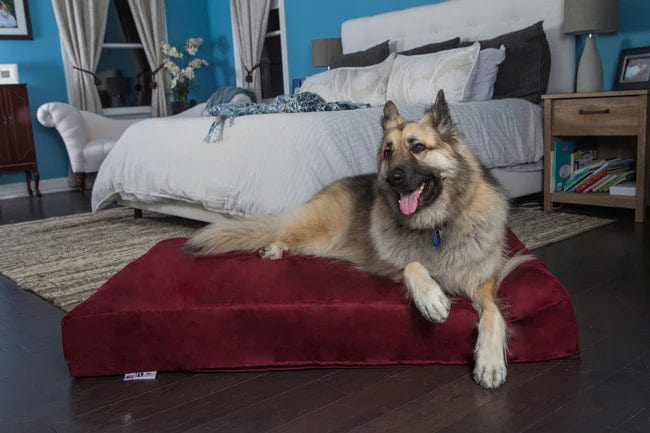 Big Barker Orthopedic Dog Bed