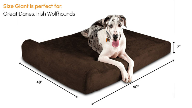 Big Barker Orthopedic Dog Bed