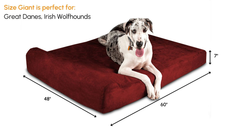 Big Barker Orthopedic Dog Bed
