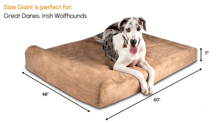 Big Barker Orthopedic Dog Bed