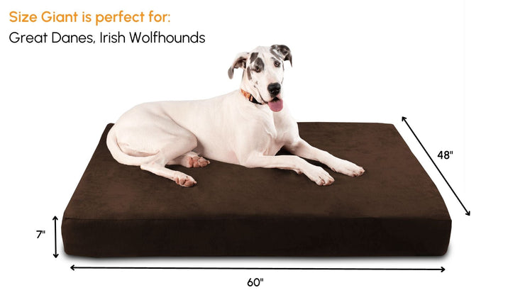 Big Barker Orthopedic Dog Bed