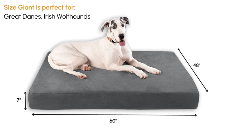 Big Barker Orthopedic Dog Bed