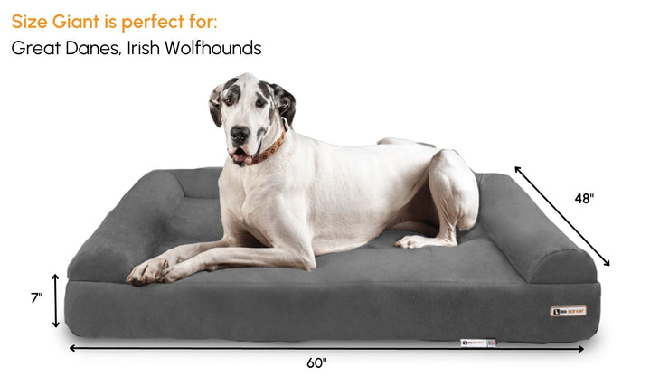 Big Barker Orthopedic Dog Bed
