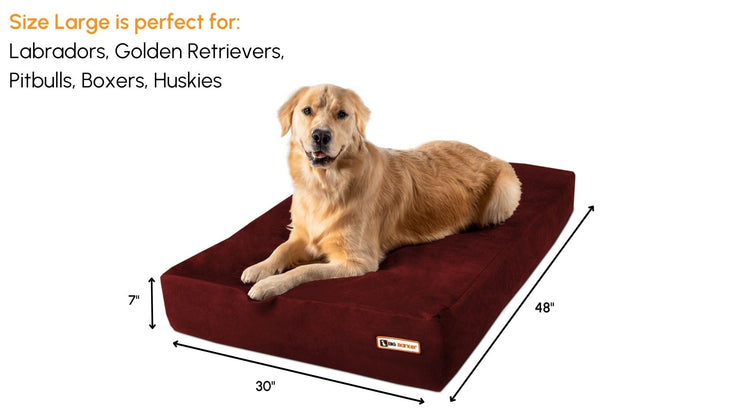 Big Barker Orthopedic Dog Bed