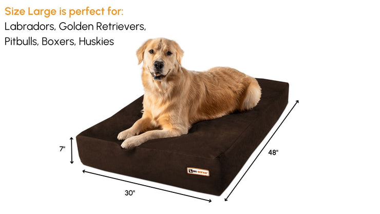 Big Barker Orthopedic Dog Bed