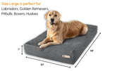 Big Barker Orthopedic Dog Bed