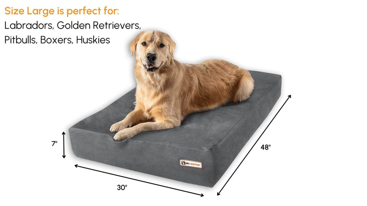 Big Barker Orthopedic Dog Bed