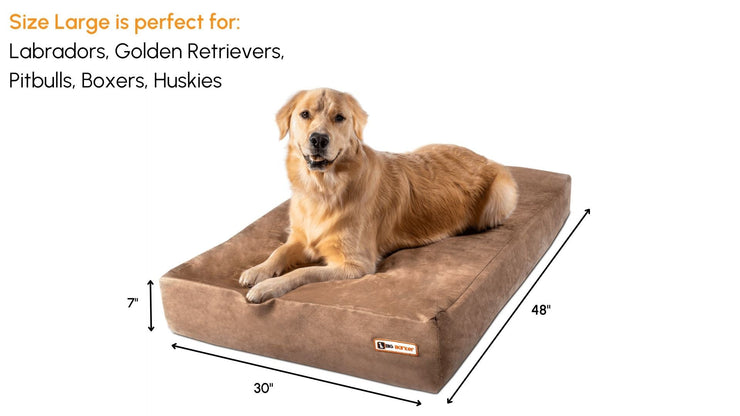 Big Barker Orthopedic Dog Bed