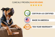 Big Barker Orthopedic Dog Bed