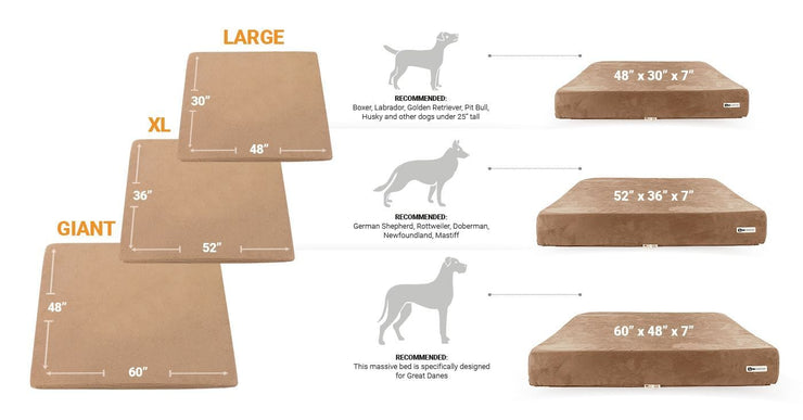 Big Barker Orthopedic Dog Bed