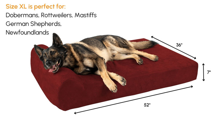 Big Barker Orthopedic Dog Bed