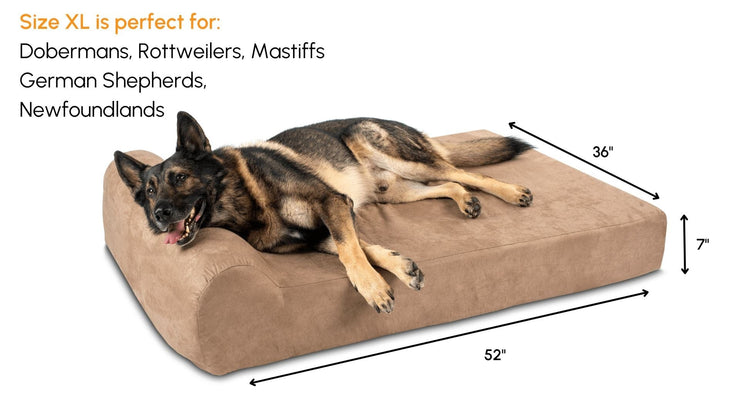 Big Barker Orthopedic Dog Bed
