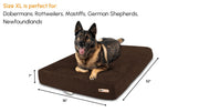 Big Barker Orthopedic Dog Bed