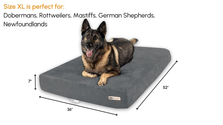Big Barker Orthopedic Dog Bed