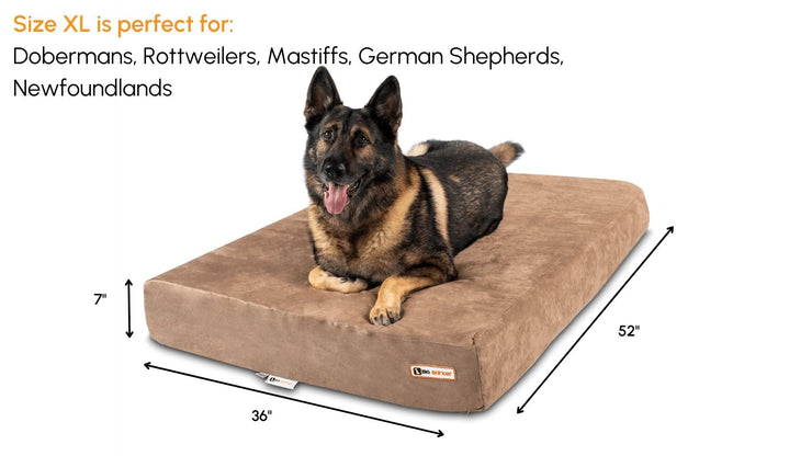 Big Barker Orthopedic Dog Bed