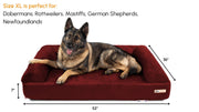 Big Barker Orthopedic Dog Bed