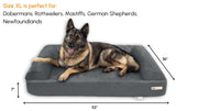 Big Barker Orthopedic Dog Bed