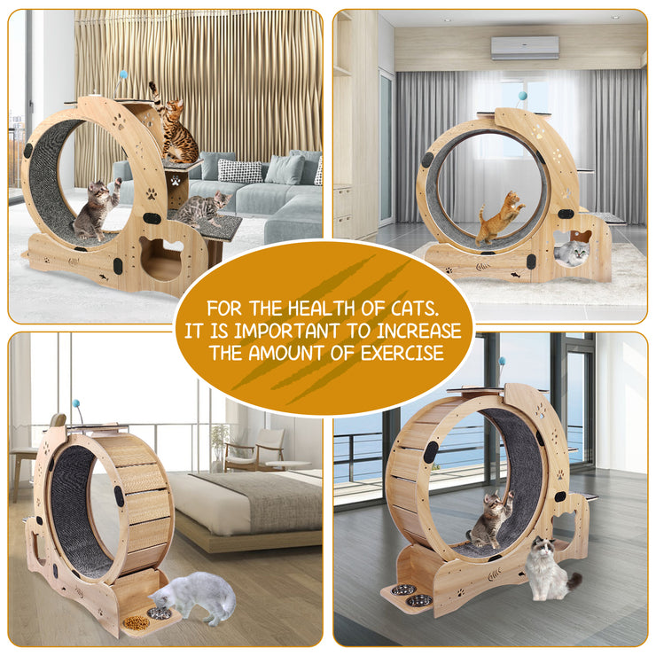 Cat Wheel 4-in-1 Cat Exercise Wheel,Upgraded Cat Wheel Exerciser for Indoor Cats,Large Cat Treadmill,Cat Running Wheel with Silent Wheel,Cat Walking Wheel Cat Furniture Cat Toys Hallohomie