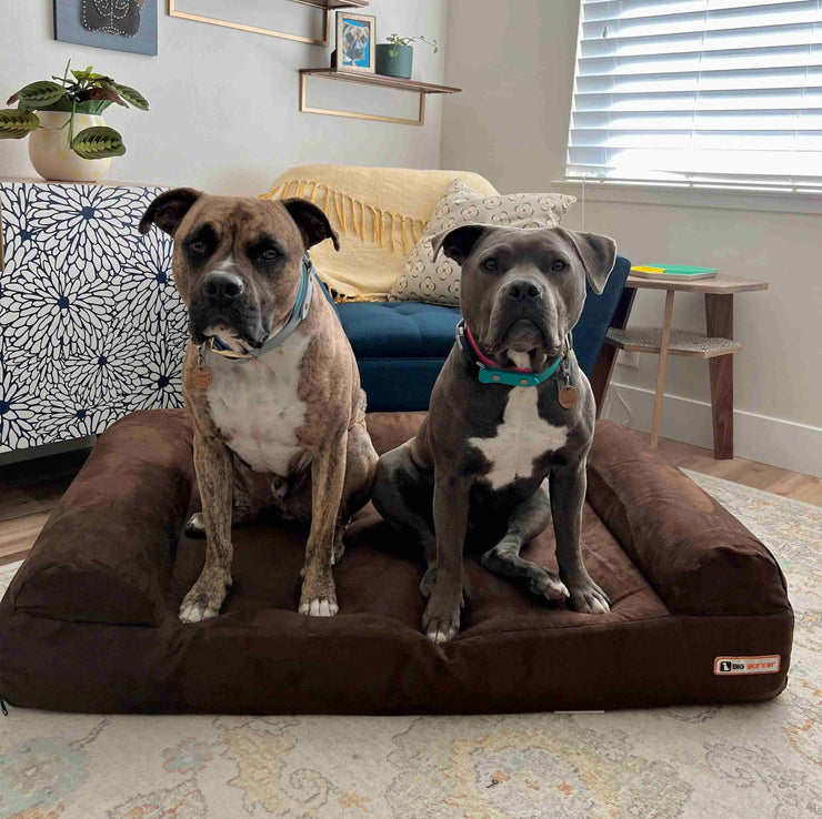 Big Barker Orthopedic Dog Bed
