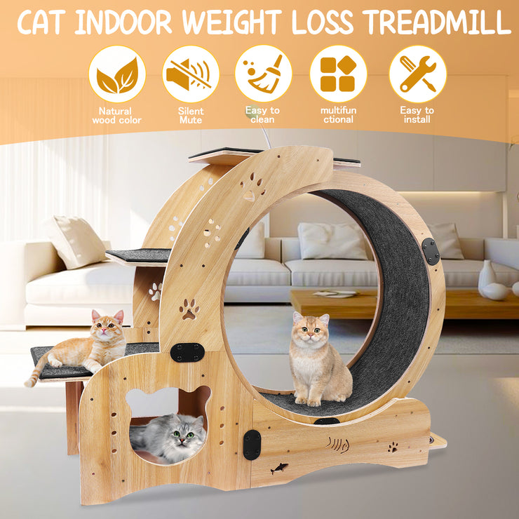 Cat Wheel 4-in-1 Cat Exercise Wheel,Upgraded Cat Wheel Exerciser for Indoor Cats,Large Cat Treadmill,Cat Running Wheel with Silent Wheel,Cat Walking Wheel Cat Furniture Cat Toys Hallohomie