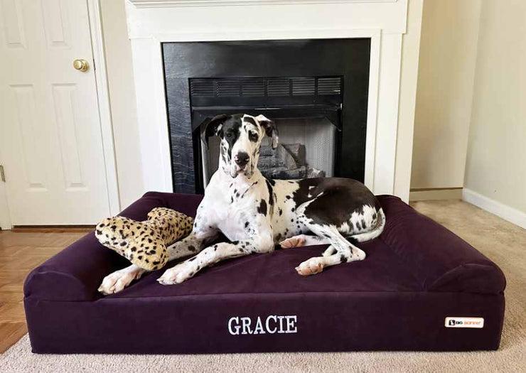 Big Barker Orthopedic Dog Bed