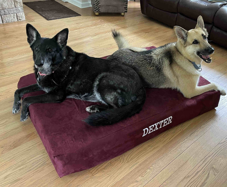 Big Barker Orthopedic Dog Bed